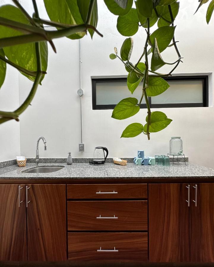 קולימה Hotel Boutique Casa Degollado מראה חיצוני תמונה